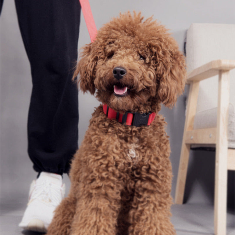 LED Ovratnica za Pse SafePupp