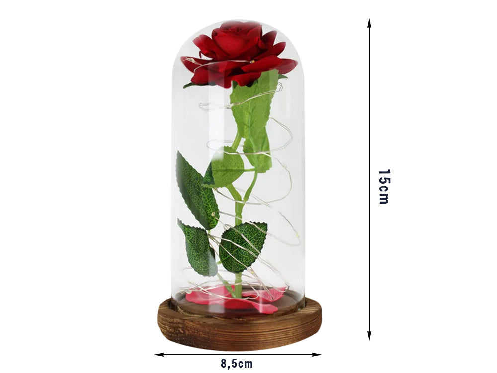 Svetleča večna vrtnica MagicRose